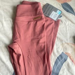 WS1 brick Moab leggings